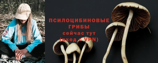 mdpv Богородицк