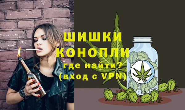 mdpv Богородицк