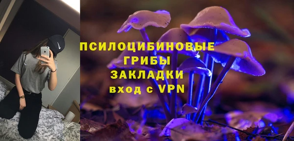 mdpv Богородицк