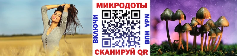 Галлюциногенные грибы Cubensis  Купить  Балабаново 